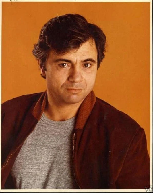 Robert Blake As Baretta 1970S Tv Show Magnet Picture Magnet Print