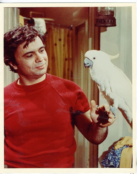 Robert Blake As Baretta Classic Tv Series Magnet Picture Magnet Print