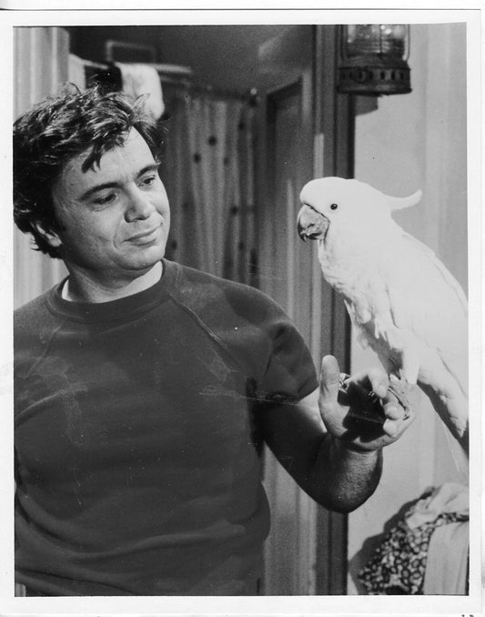 Robert Blake Is Baretta Classic Tv Series Poster Picture Photo Print