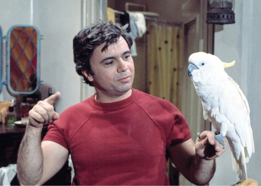 Robert Blake Is Baretta In Classic Tv Show Magnet Picture Magnet Print
