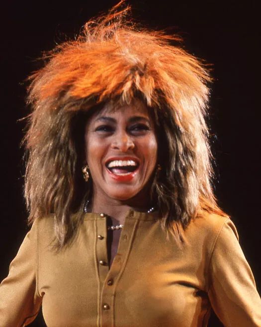 Rock And Pop Singer Tina Turner Glossy Photo Celebrity Print Music Poster