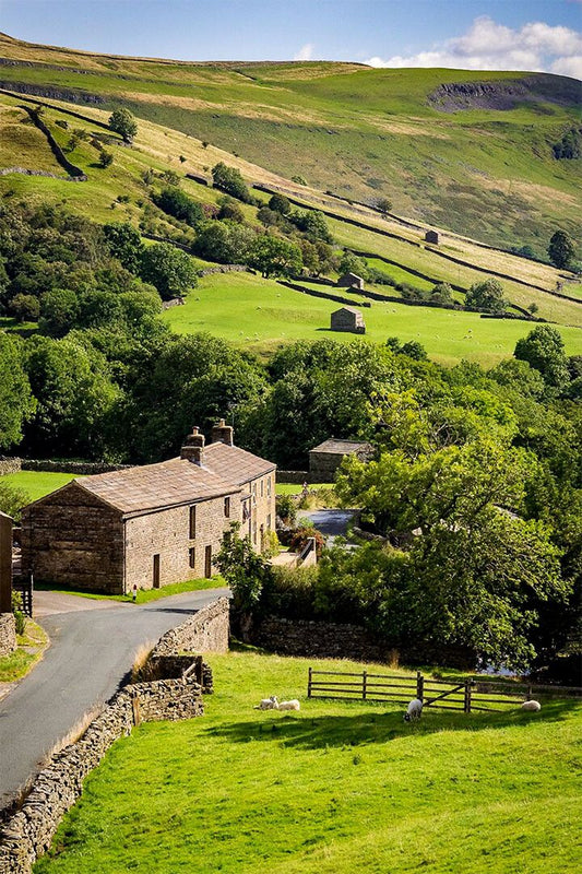 Rolling Yorkshire Farmland Farming Painting Jigsaw Puzzle