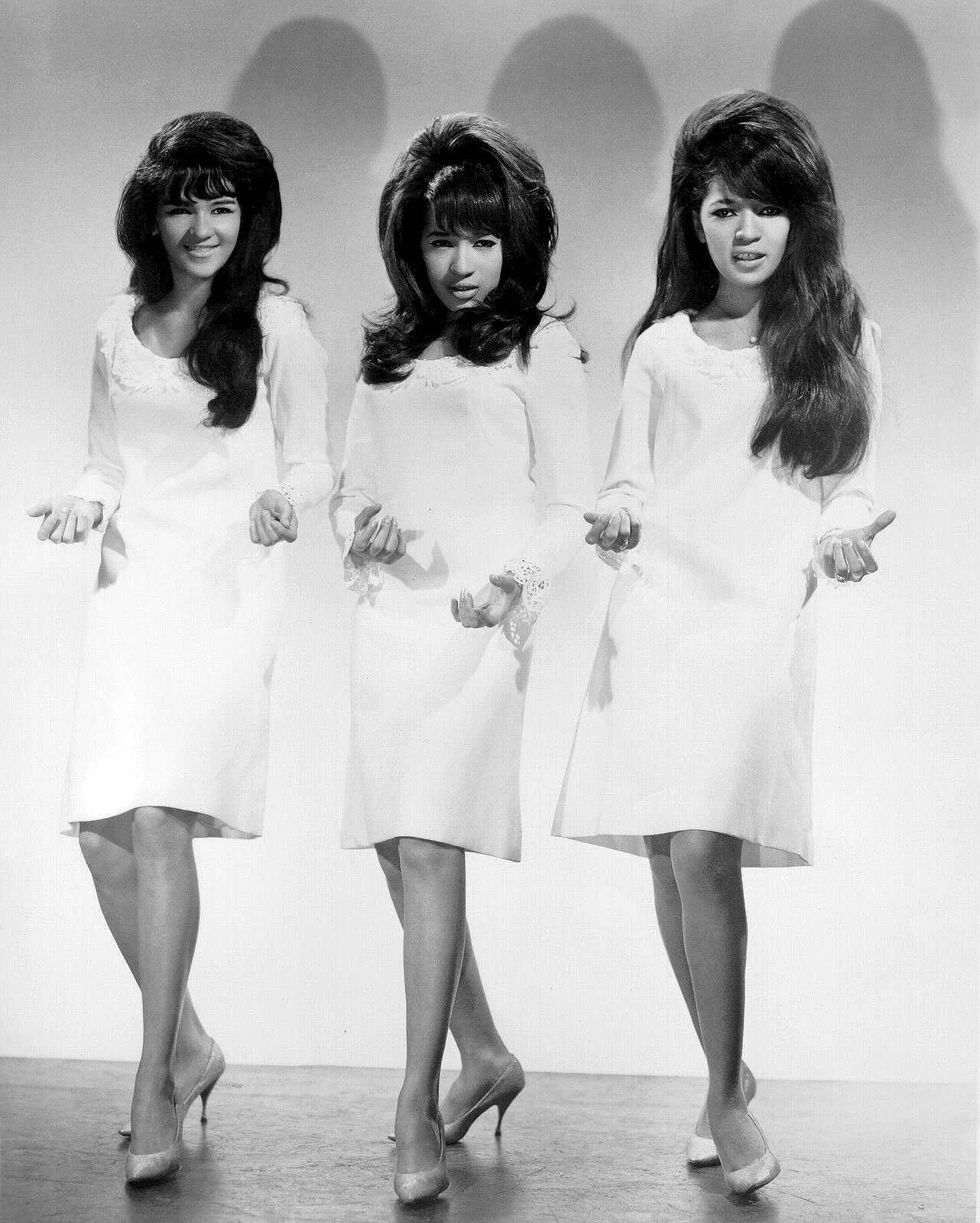 Ronnie Spector The Ronettes Classic Girl Band Print 300 Piece Jigsaw Puzzle