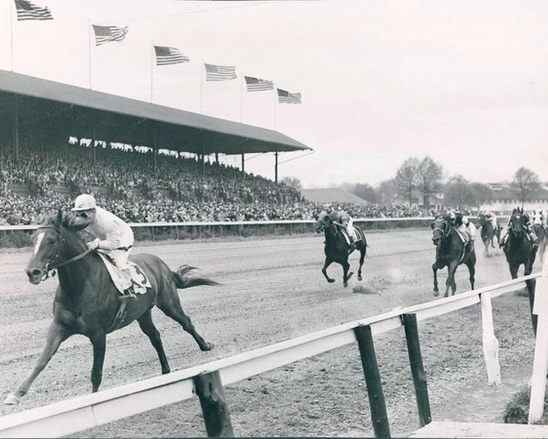 Saggy Magnet Horse Racing Picture Jockey Bw