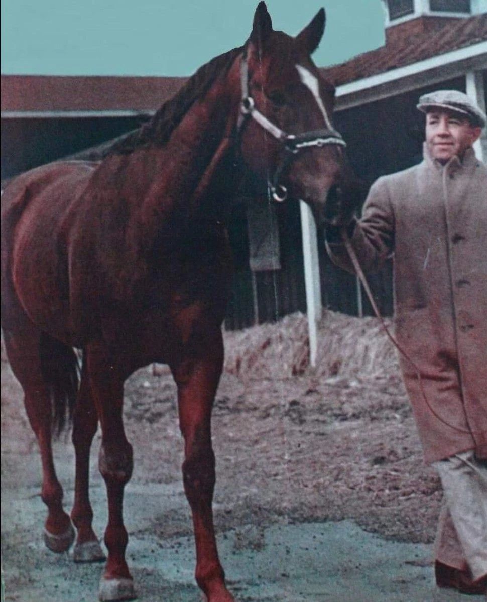 Saggy Photo Horse Racing Picture Jockey