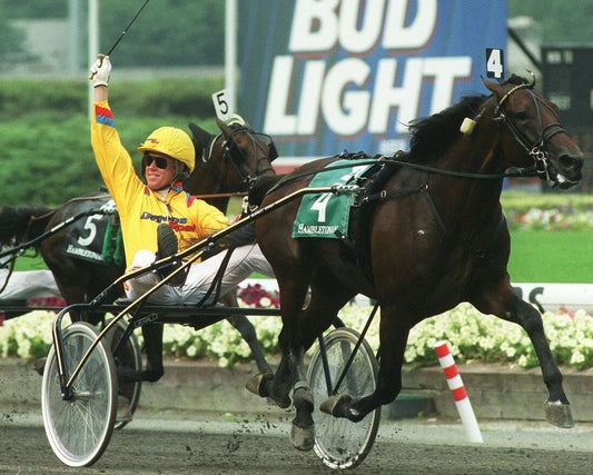Scarlet Knight Magnet Harness Horse Racing Picture