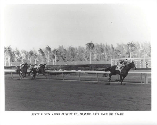 Seattle Slew Photo Horse Racing Picture Jockey Jean Cruguet Flamingo Stakes