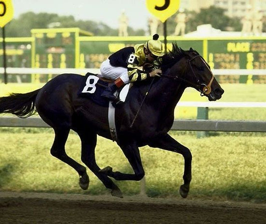 Seattle Slew Magnet Horse Racing Picture Jockey Preakness