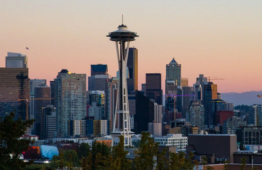 Seattle Washington Skyline Magnet Picture Magnet Print Space Needle