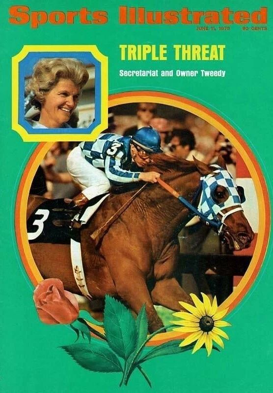 Secretariat Photo Horse Racing Cover Picture 300 Piece Jigsaw Puzzle