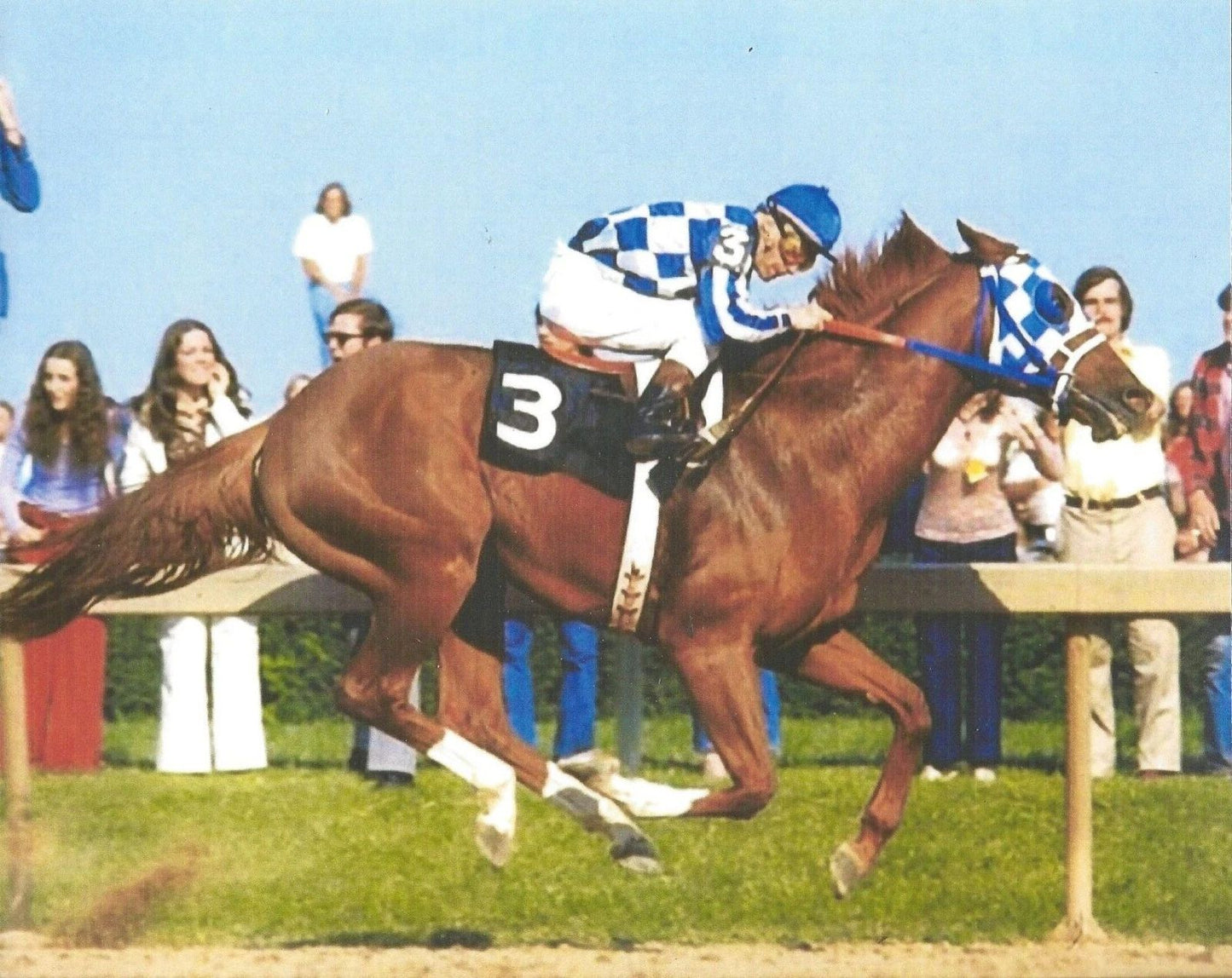 Secretariat Photo Horse Racing Picture Jockey