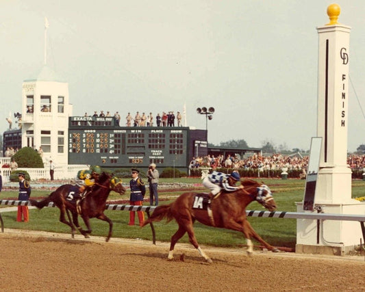 Secretariat & Sham Magnet Horse Racing Picture Action
