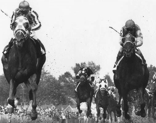 Secretariat & Sham Photo Horse Racing Picture Race Action