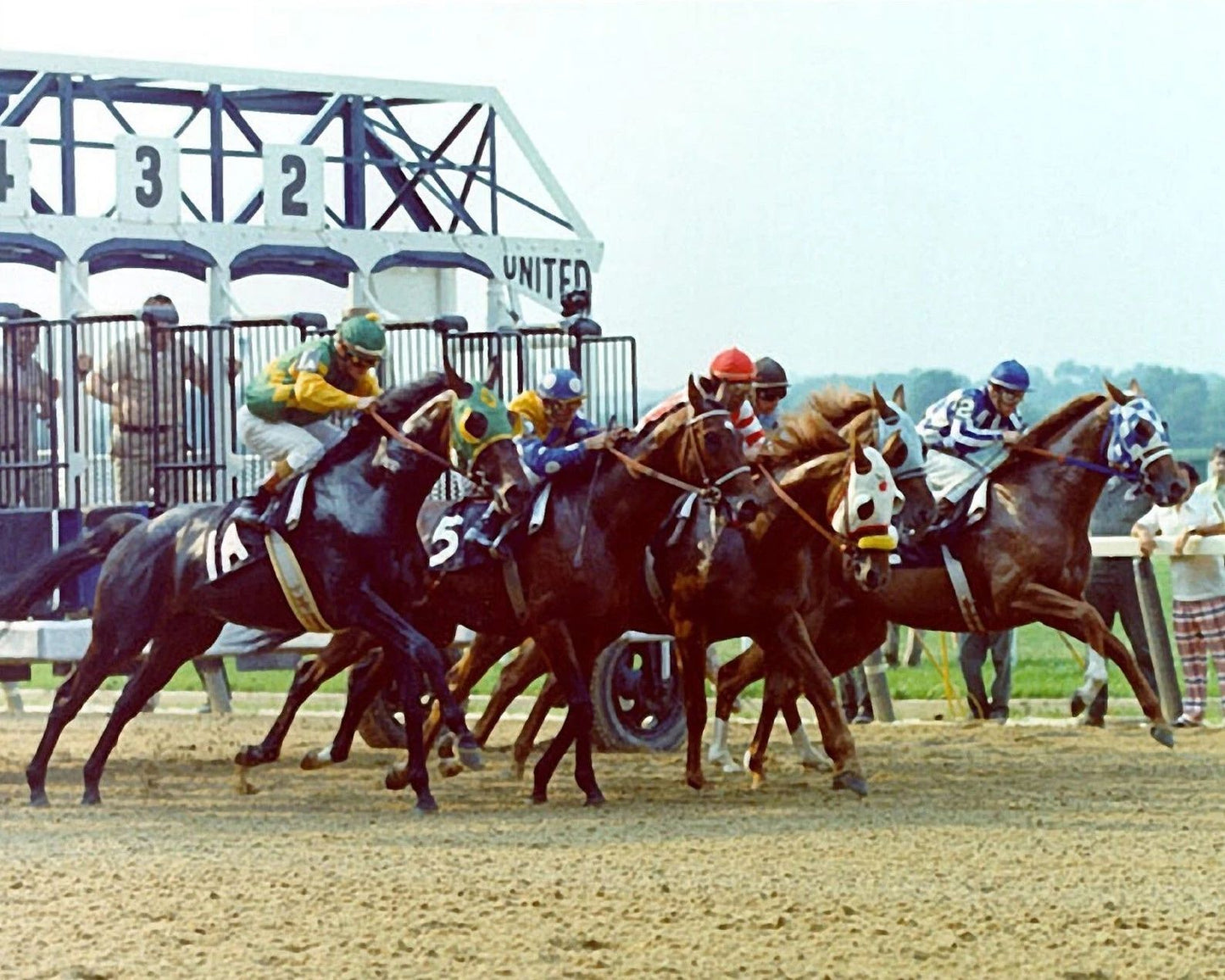 Secretariat & Sham Photo Horse Racing They'Re Off 300 Piece Jigsaw Puzzle