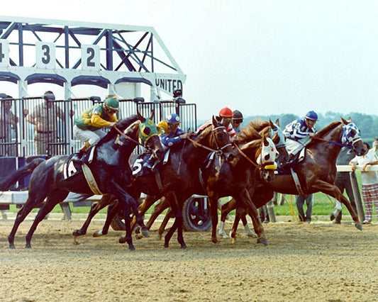 Secretariat & Sham Magnet Horse Racing Picture They'Re Off