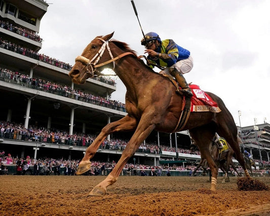 Secret Oath Magnet Horse Racing Picture Jockey