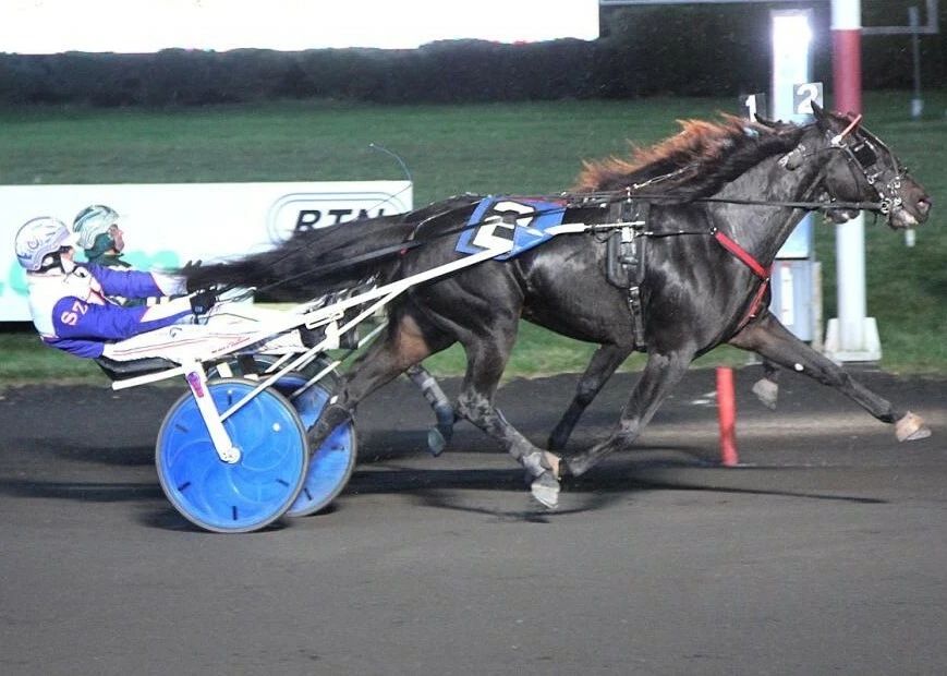 Senorita Rita Photo Harness Horse Racing Picture Wide Border