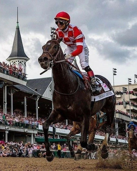 Serengeti Empress Magnet Horse Racing