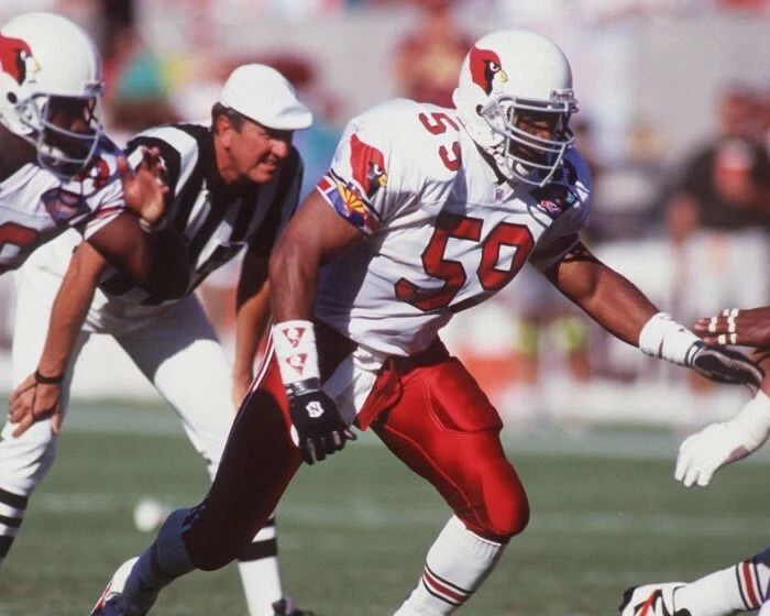 Seth Joyner Photo Arizona Cardinals Picture Nfl Football 300 Piece Jigsaw Puzzle