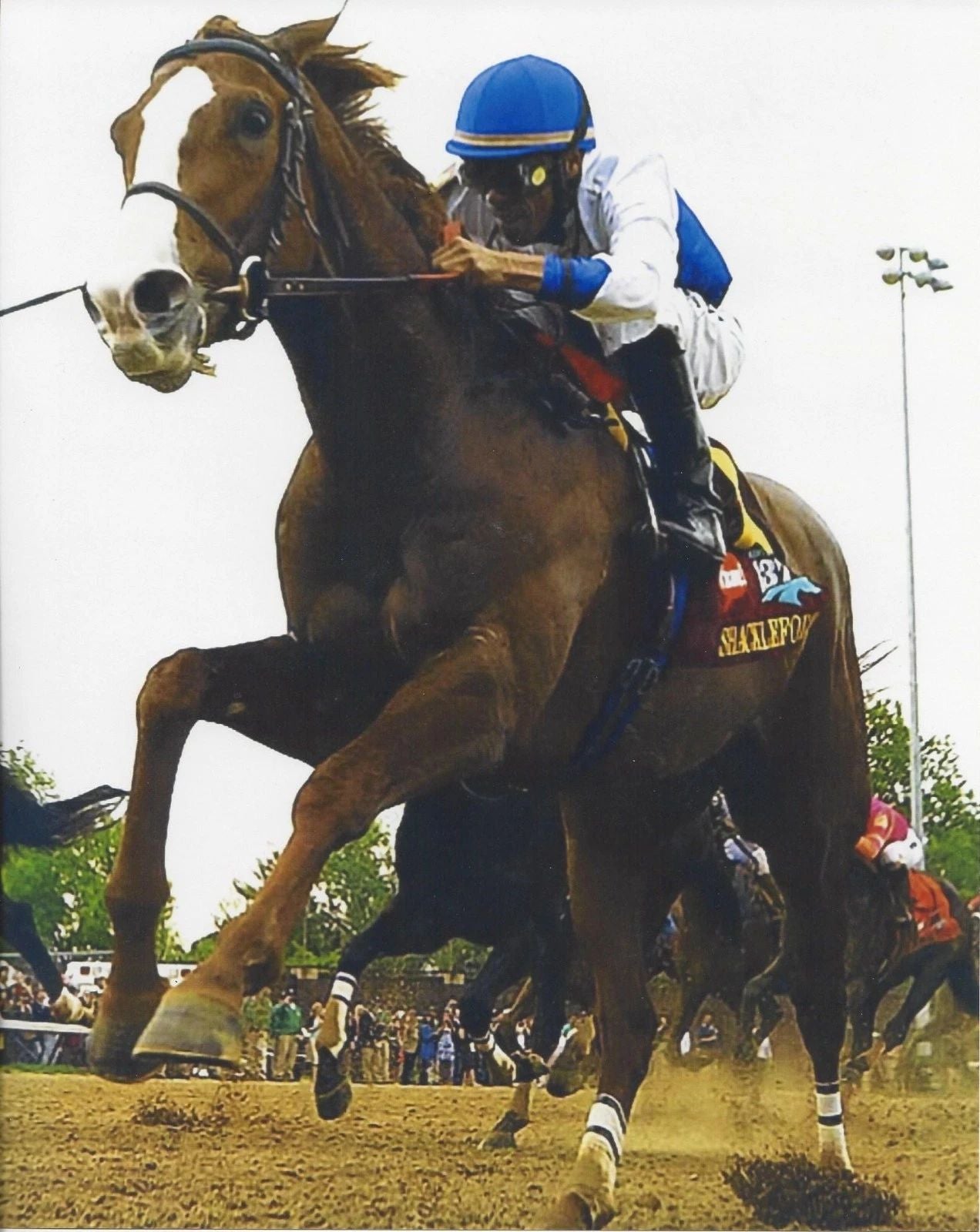 Shackleford Photo Horse Racing Picture Jockey 300 Piece Jigsaw Puzzle