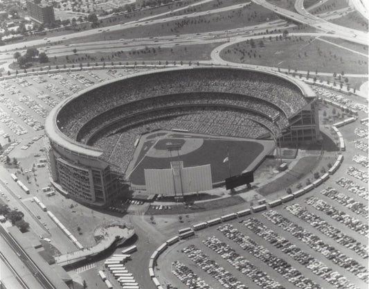 Shea Stadium Photo Baseball Picture New York Mets Ny Mlb