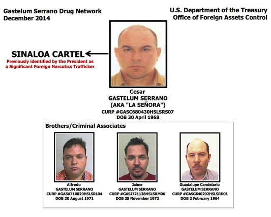 Sinaloa Cartel Magnet Mexico Organized Crime Cesar Gastelum Serrano La Senor
