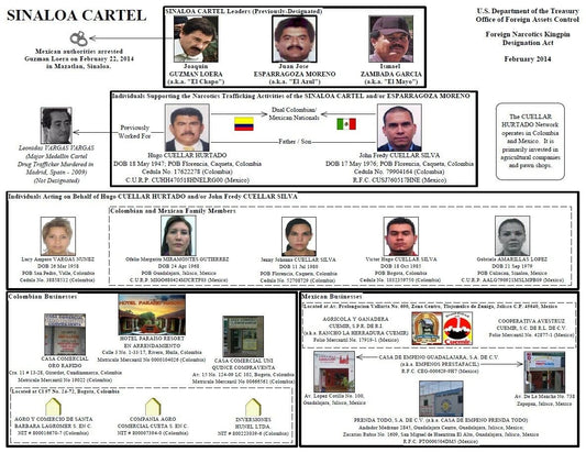 Sinaloa Drug Cartel Magnet Mexico Organized Crime Chart Guzman El Chapo