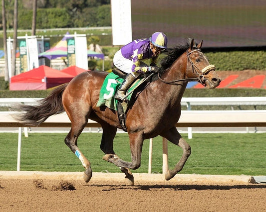 Skinner Photo Horse Racing Picture Jockey