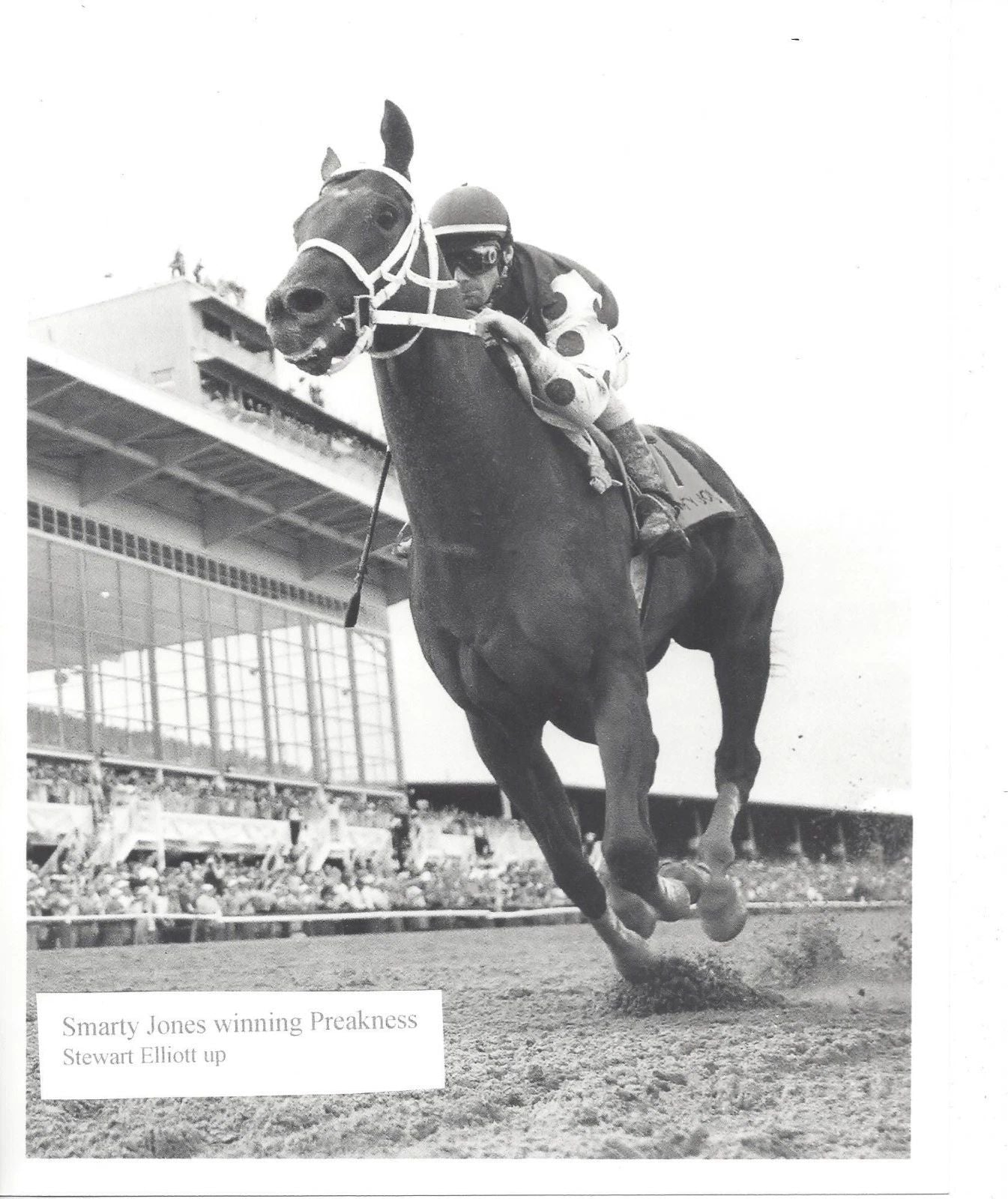 Smarty Jones Photo Horse Racing Picture Jockey Stewart Elliott Preakness St