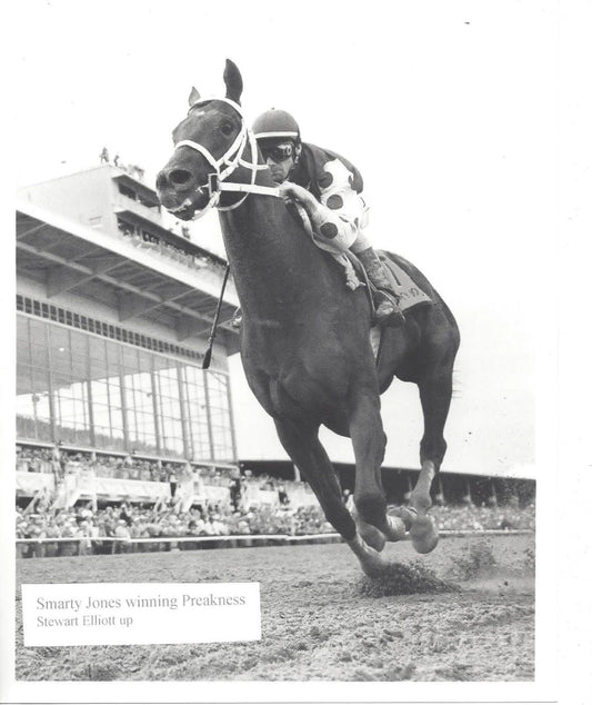 Smarty Jones Magnet Horse Racing Picture Jockey Stewart Elliott Preakness St