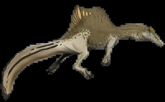 Spinosaurus Aegyptiacus Keychain Keychain Picture Banner Print Dinosaur
