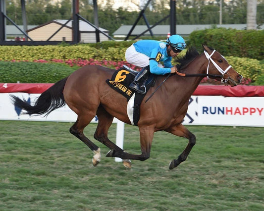 Starship Jubilee Keychain Horse Racing Picture Jockey