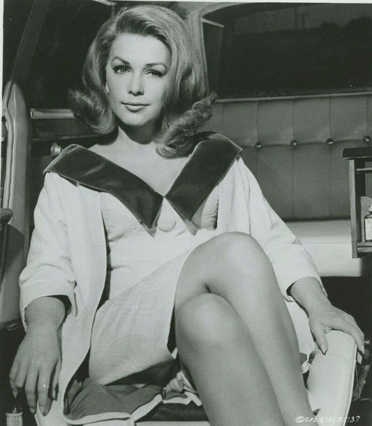 Stella Stevens In 1966 Movie The Silencers Publicity Magnet Picture