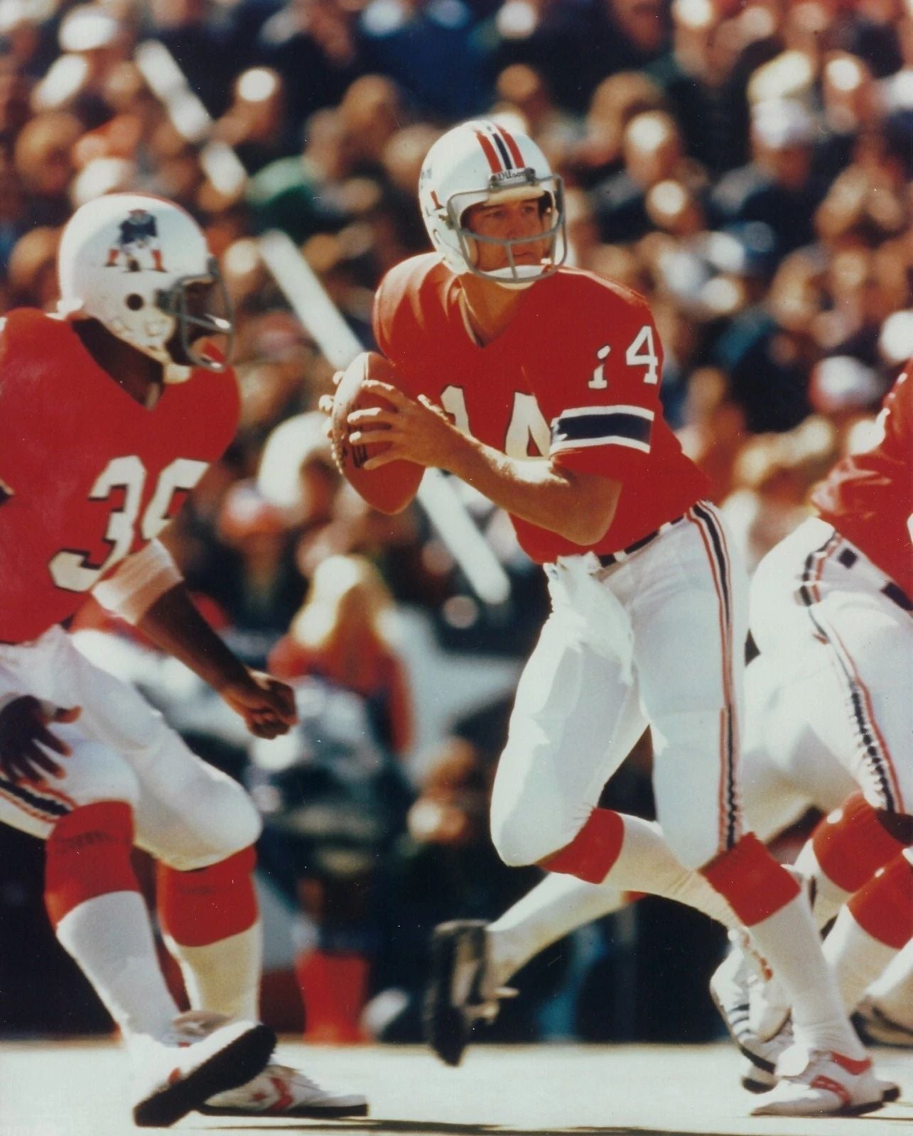 Steve Grogan Photo New England Patriots Nfl Football Picture