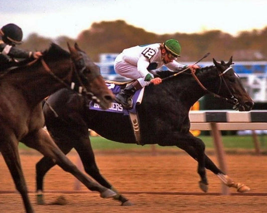 Storm Cat Magnet Horse Racing Picture Race Action