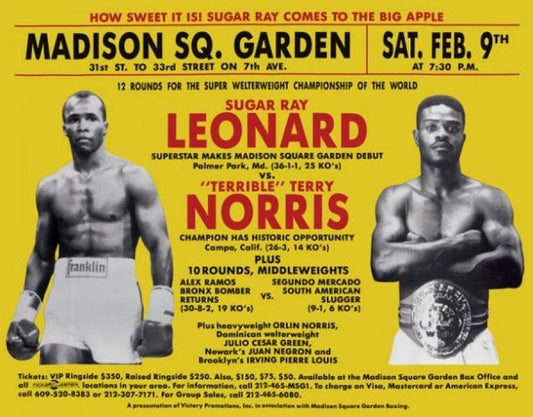 Sugar Ray Leonard Vs Terry Norris Photo Boxing Poster Picture
