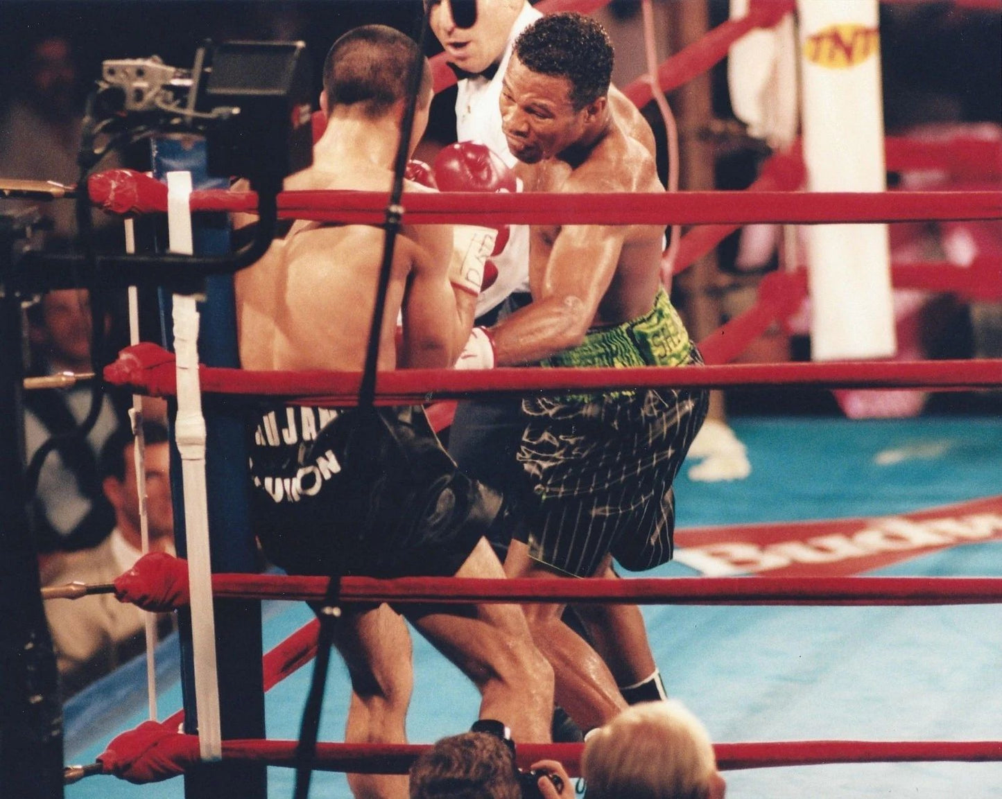 Sugar Shane Mosley Photo Boxing Picture Corner Action