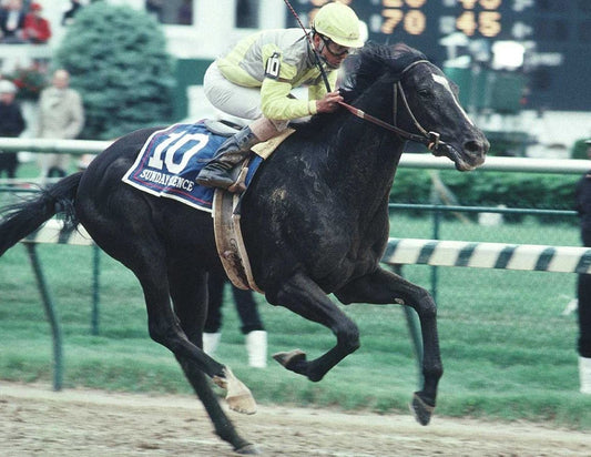 Sunday Silence Magnet Horse Racing Picture Jockey