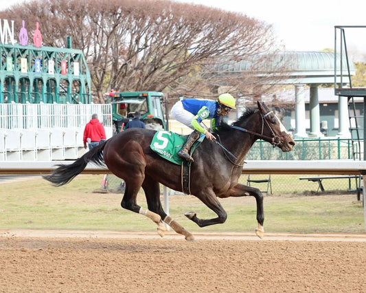 Sun Thunder Photo Horse Racing Picture Jockey