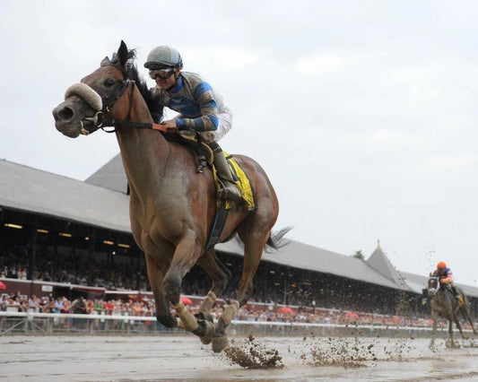 Sweet Reason Keychain Horse Racing Picture