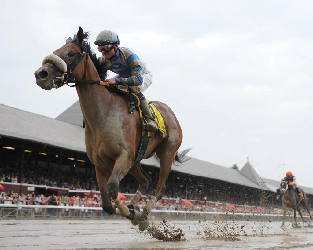 Sweet Reason Photo Horse Racing Picture