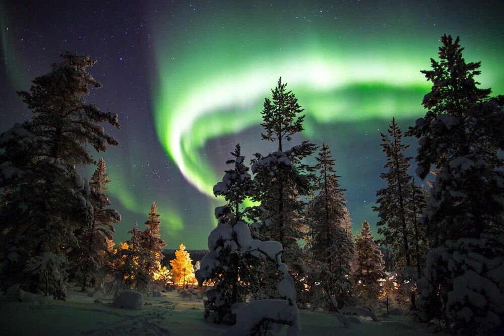 Saariselka Finland Winter Snow With Northern Lights Nature Poster Picture Photo