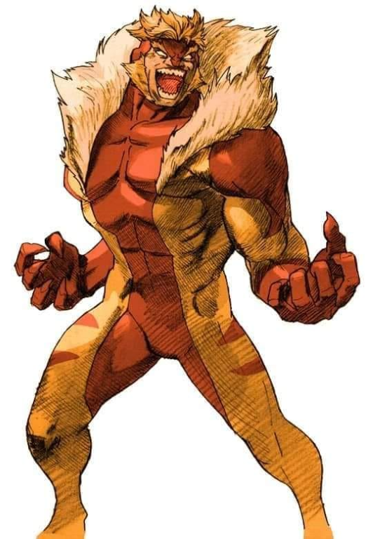 Sabretooth 942 Print Poster