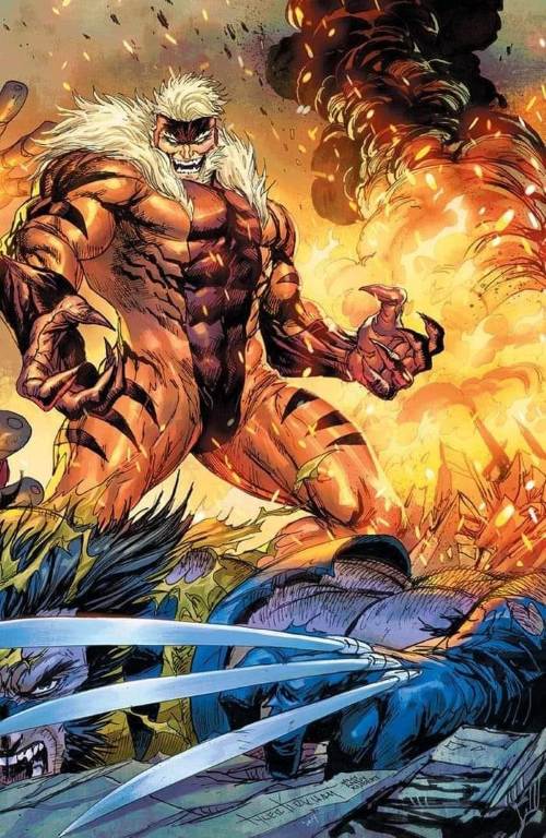 Sabretooth Vs Wolverine Fight 01 Jigsaw Puzzle