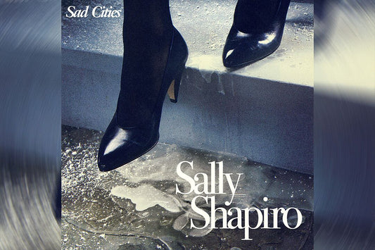 Sally Shapiro Sad Cities Music Album Painting Jigsaw Puzzle