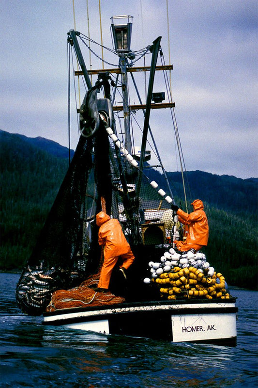 Salmon Saining In Alaska Print Jigsaw Puzzle