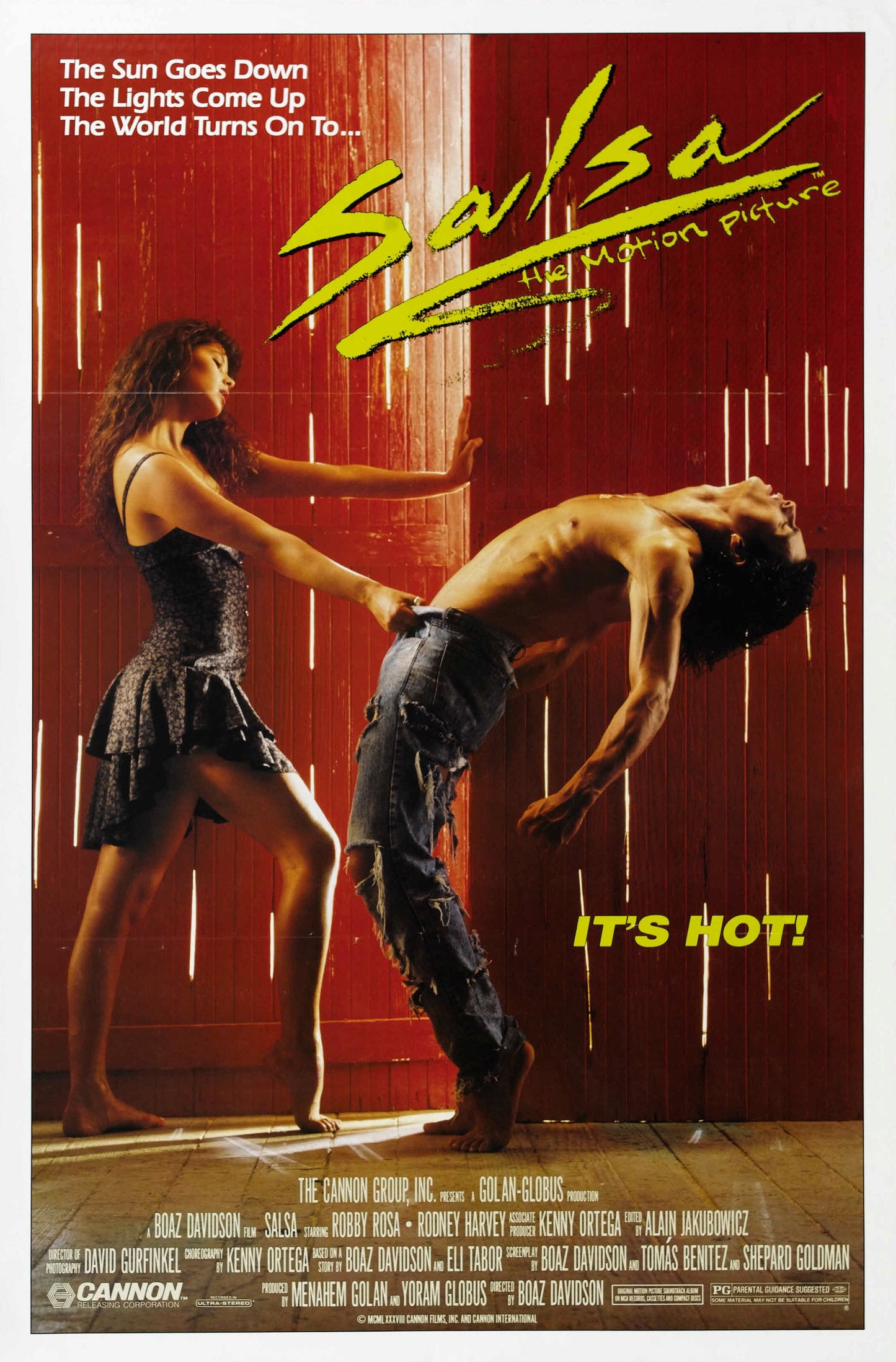 Salsa 01 Movie Magnet