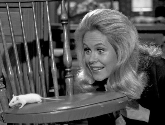 Samantha Turns Darrin Into A Mouse On Bewitched Picture Keychain