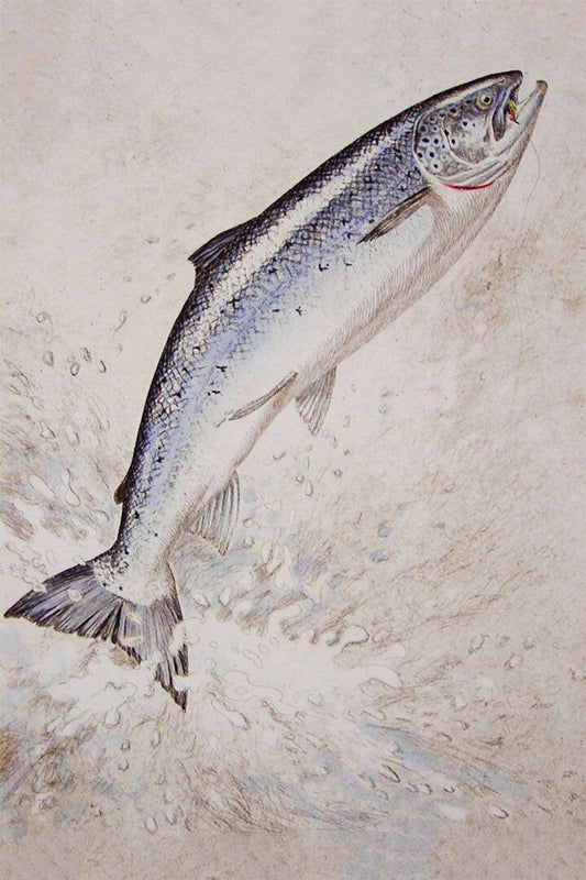 Scales Of A King Salmon Water Animals Vintage Jigsaw Puzzle