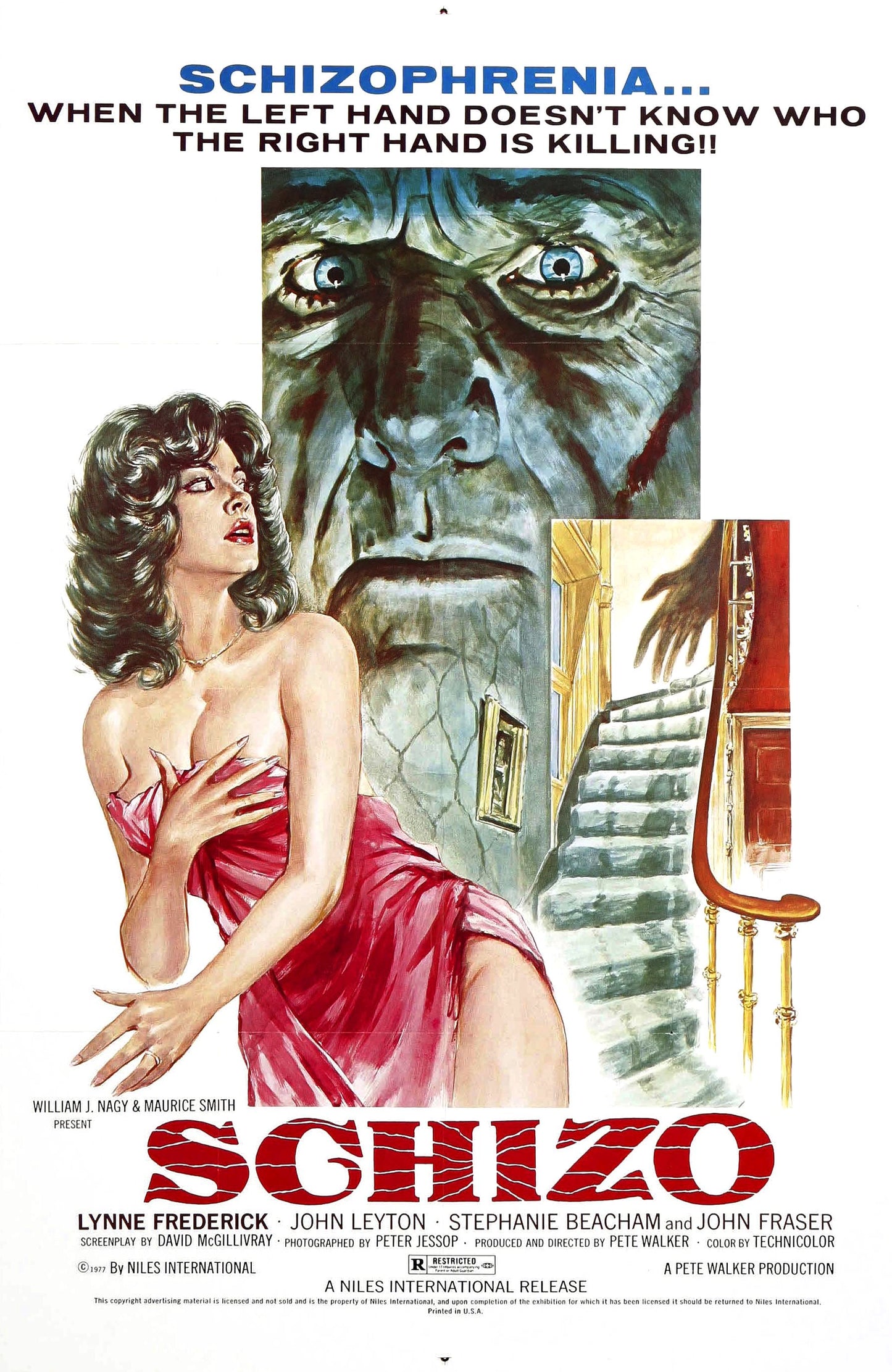 Schizo 01 Movie Magnet